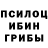 Галлюциногенные грибы прущие грибы Akbar Saipov