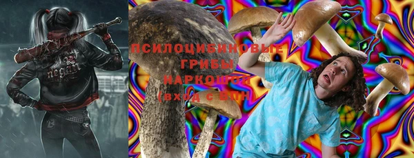 дурь Козловка