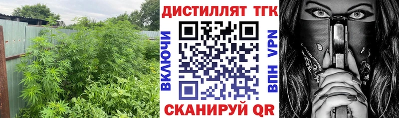 Дистиллят ТГК концентрат  Купить закладки  Оханск 