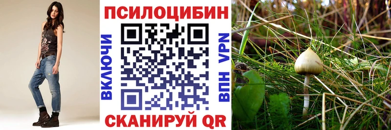 Псилоцибиновые грибы GOLDEN TEACHER  Купить  Оханск 